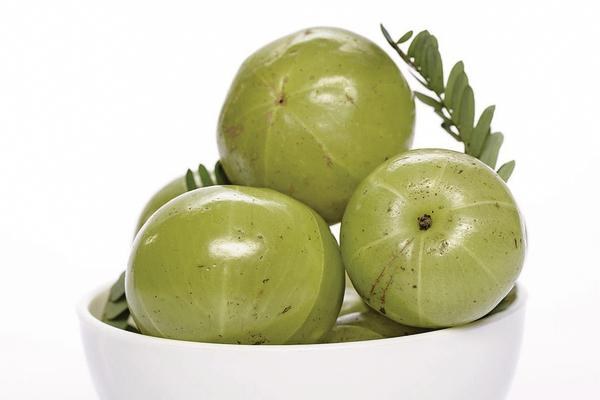Ayurvedischer Extrakt