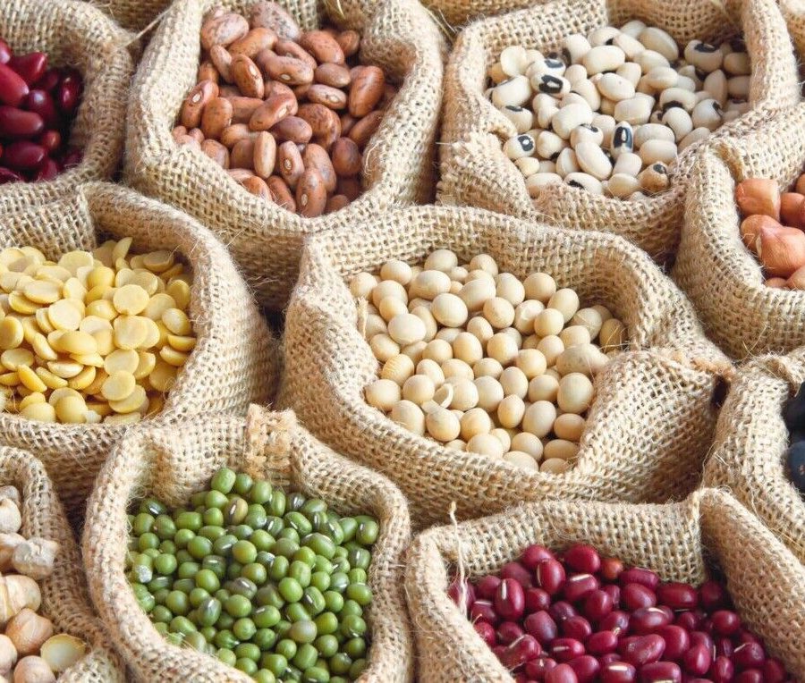 Die Zukunft liegt im Pflanzenprotein