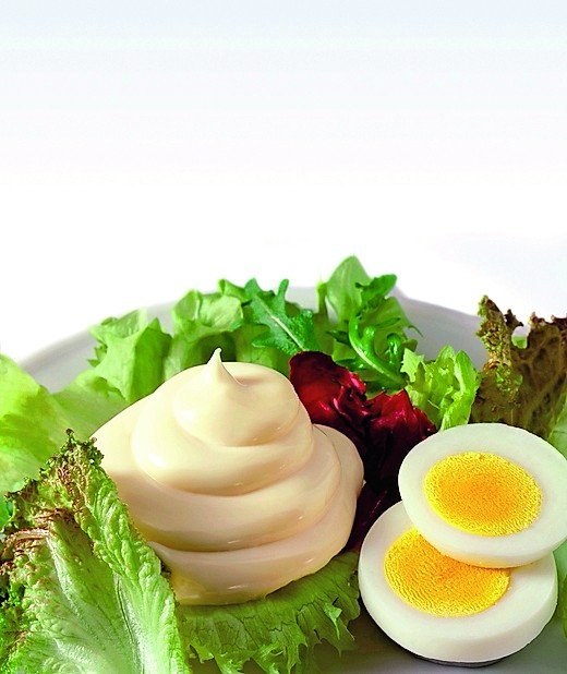 Fettreduzierte Mayonnaise ohne Stärke
