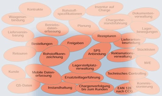 Ganzheitlicher Ansatz