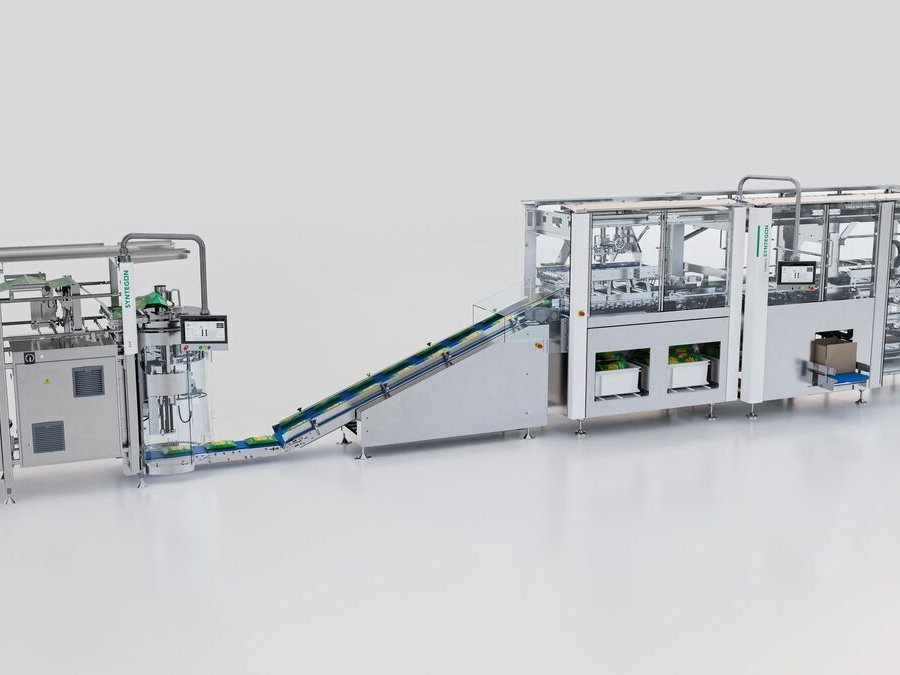 Integrierte Linienlösung für Tiefkühlprodukte