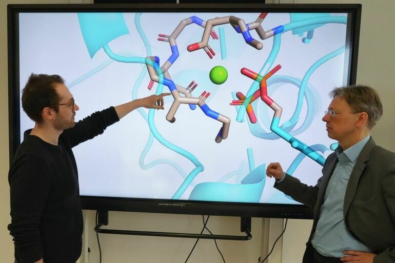 Künstliche Photosynthese für nachhaltige Nahrungsmittelproduktion
