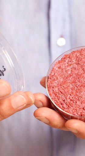 Kultiviertes Fleisch ermöglicht echte Burger für Vegetarier