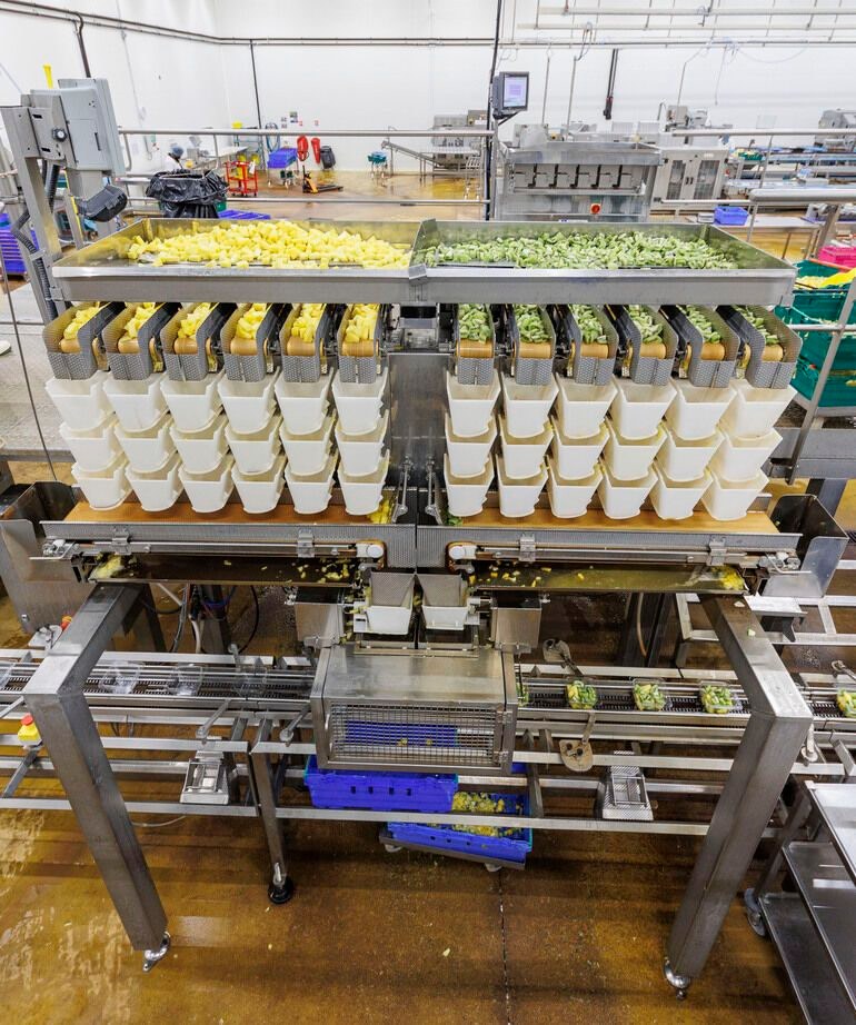 Lineare Frischproduktwaagen steigern Produktivität