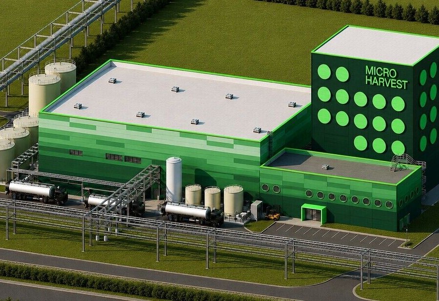 Microharvest produziert mikrobielles Protein im industriellen Maßstab