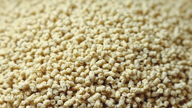 Protein-Crispies auf Weizenbasis