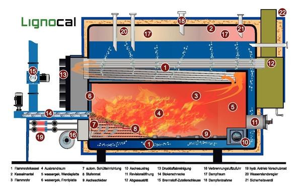 Prozessdampf aus Holzpellets