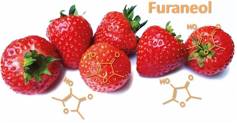 Rezeptor für Karamellgeruch identifiziert