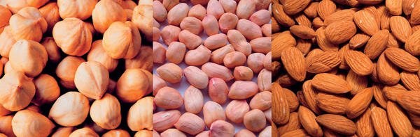 Salmonellen den Kampf angesagt