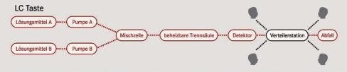 Sensorische Lebensmittelanalyse
