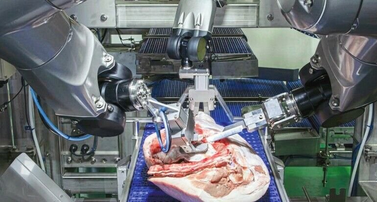 Widerstandsfähige Roboter