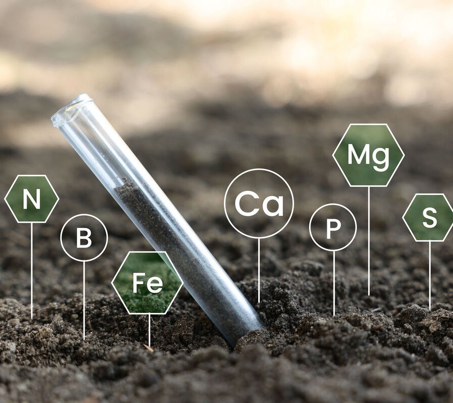 Stabile Isotope als Schlüsseltechnologie