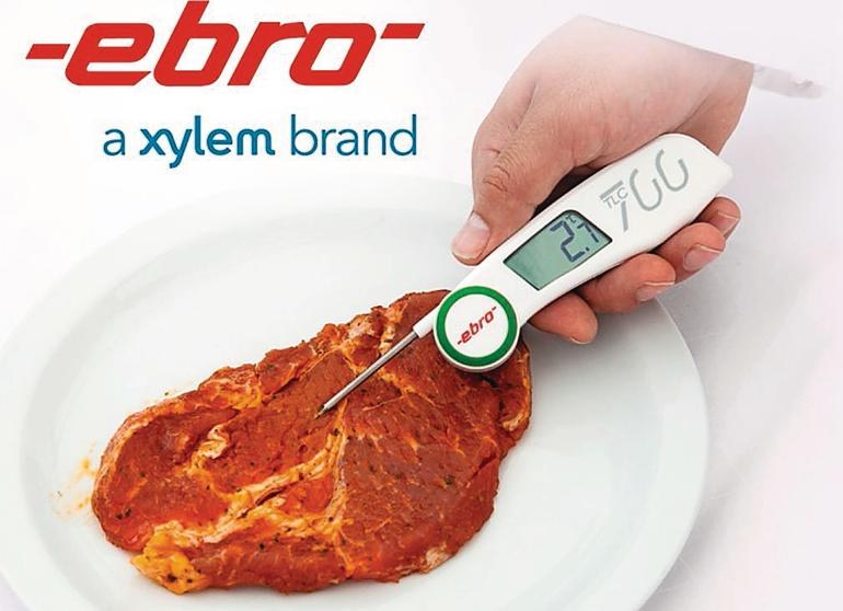Thermometer mit Einstechfühler