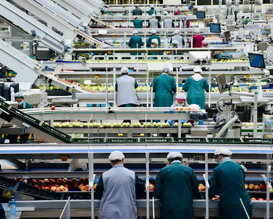 Reales Umsatzplus, aber gedämpfte Erwartungen: BVE-Konjunkturreport Ernährungsindustrie 09/2026