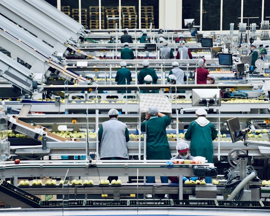 Tablettenpressen in der Lebensmittelproduktion: Technologie, Hygiene und Prozesssicherheit