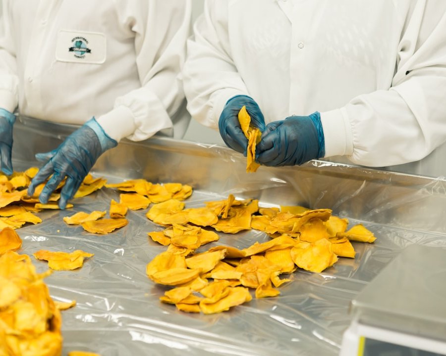 Fremdkörperdetektion in der Lebensmittelproduktion: Methoden, Grenzen und Auswahlkriterien