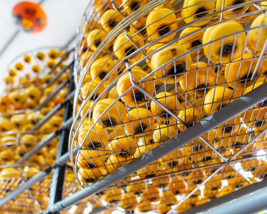 Fremdkörperdetektion in der Lebensmittelproduktion: Grundlagen, Verfahren und Auswahlkriterien