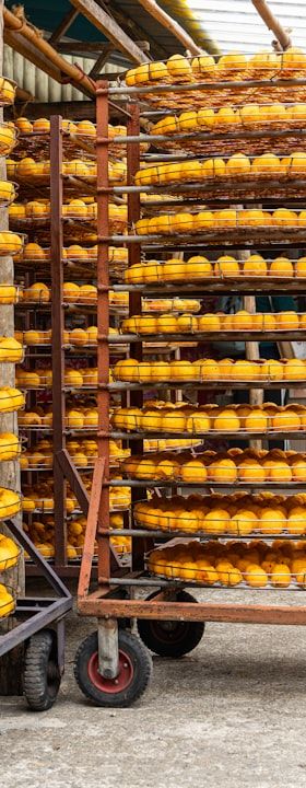 Wasseraktivität in der Lebensmittelproduktion: Grundlagen, Messtechnik und technologische Konsequenzen