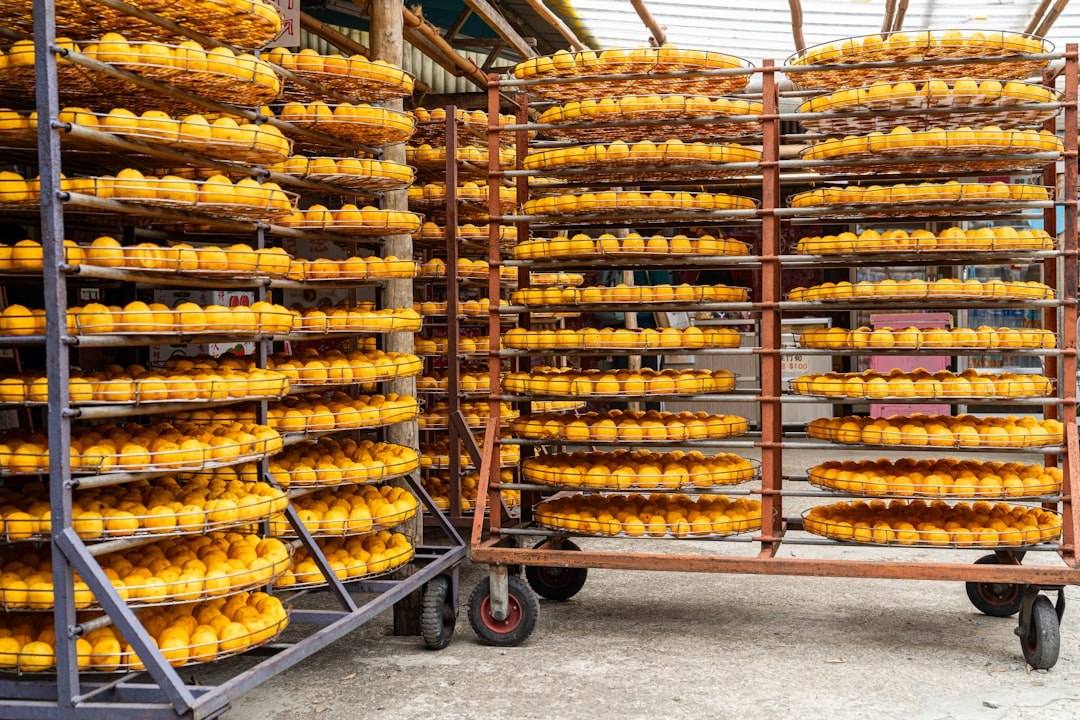 Rotierende Rollbalgdichtung