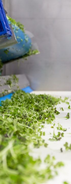 Fraunhofer IVV entwickelt Halbleitersensor-Schnellsysteme zur Qualitätssicherung von Biolebensmitteln
