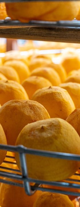 Trocknung und Dehydrierung in der Lebensmittelproduktion: Grundlagen, Verfahren und Auswahlkriterien