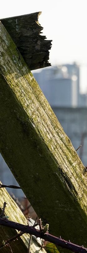 Hosokawa Alpine: Webinar zu Turnkey-Lösungen für die Lebensmittelpulververarbeitung