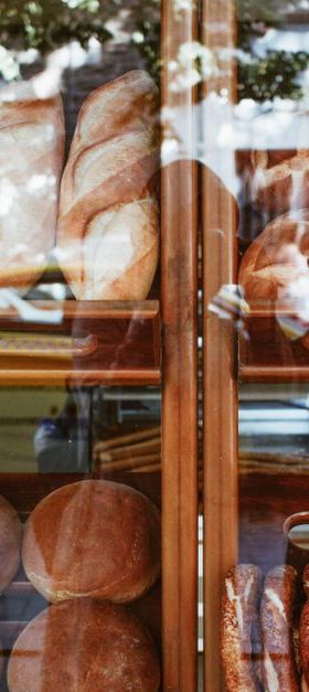 Sortieren und Klassieren in der industriellen Obst- und Gemüseverarbeitung: Grundlagen, Verfahren und Anlagenauswahl