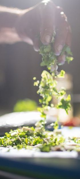 Hochdruckbehandlung (HPP) in der Obst- und Gemüseverarbeitung: Grundlagen, Wirkungsweise und Anlagenauswahl